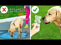 BE A PERFECT PET OWNER!🐶🤓💕 Pawsome Hacks, DIYs And Gadgets For The BEST PETS
