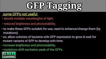 GFP Tagging | Green Fluorescent Protein Tagging | What Is A GFP | GFP Fusion |