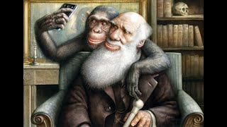 Причинно-Следственная Связь И Теория Дарвина