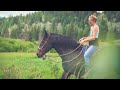 Whole horse  finding sacred spaces with horses with dr susan fay