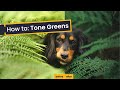 Understanding and Toning Greens in Photography