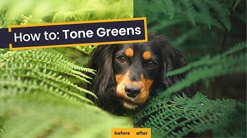 3 Simple Steps for Toning Green in Lightroom | How to Tone Greens in Your Photographs
