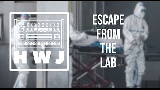 The Streamthrough - Escape from the Labs