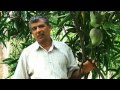 KOSSERI MANGO (Mannu - TV Programme)