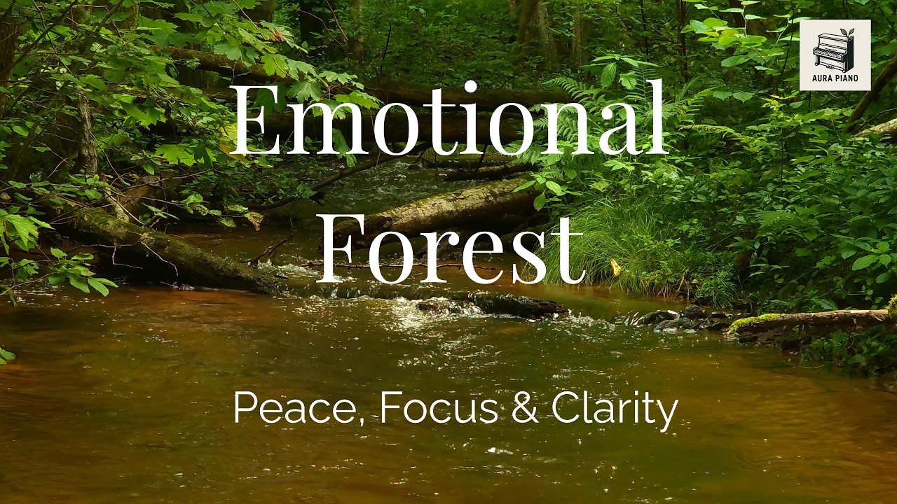 Эмоциональное пианино леса | Ясность и покой