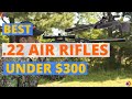 6 Best .22 Air Rifle 2021 | Best Air Rifles Under $300.