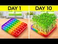 SMART GARDENING HACKS || Awesome Plant Growing Hacks For Beginners By 123 GO! SERIES
