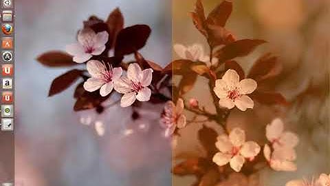 Compiz maximize animation Ubuntu 1304 final