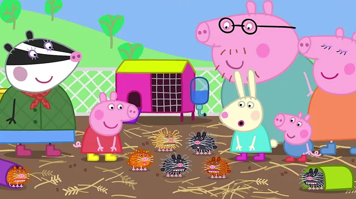 小猪佩奇 第八季 第14集 宠物农场