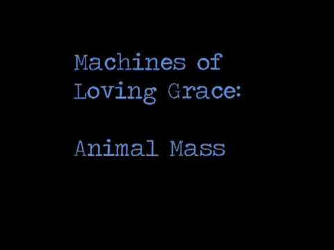 Animal Mass