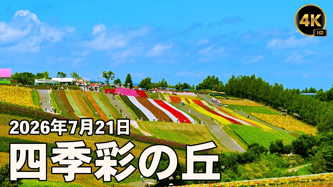 🌺July 21st Photogenic Conditions at Shikisai-no-Oka: A Slow