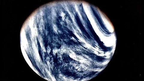 The Search for Life at Venus