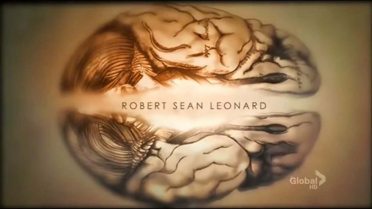 Massive Attack - Teardrop Instrumental x Dr. House MD Intro (Slowed + Reverb)