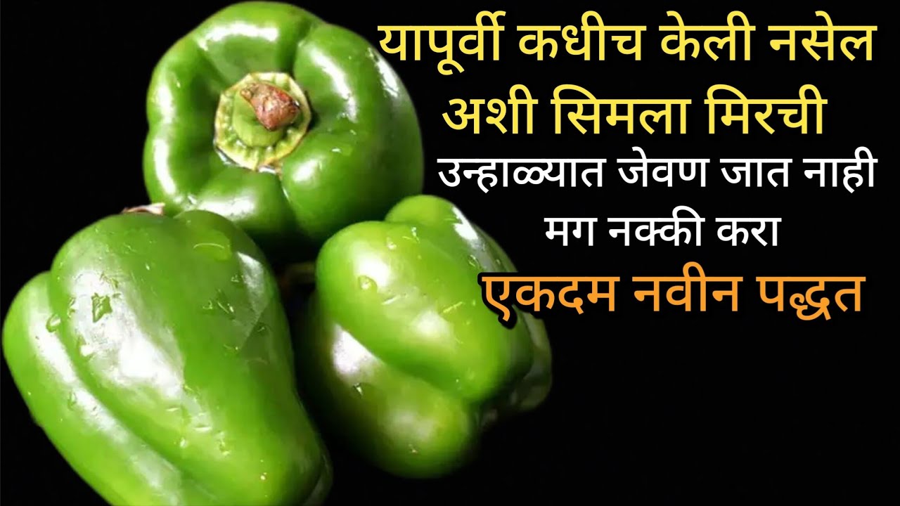 आठवड्यातून चार वेळा तरी नक्कीच कराल ही रेसिपी..|| सिमला मिरचीचा नवीन प्रकार..||