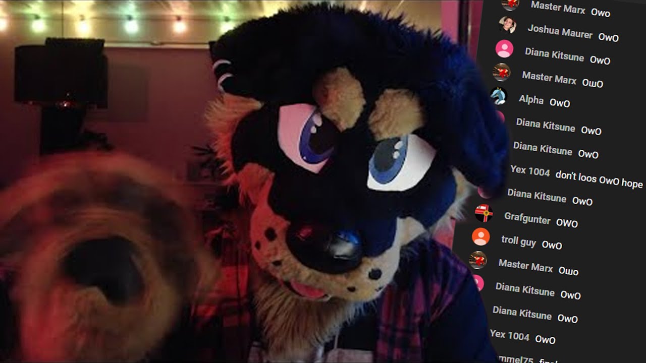 MY FIRST STREAM OwO - YouTube