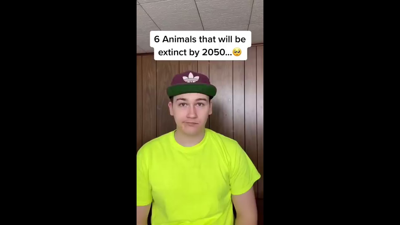 6 Animals That Will Be Extinct By 2050 Shorts