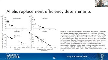 35 MAGE | Genome Engineering Tools | Lecture 16 | Metabolic Engineering | SP20