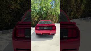2007 Saleen S281 Extreme , 1 of 96 made in 2007.. AVAILABLE NOW!✅ #mustang