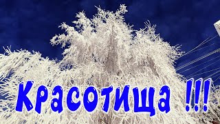 Господи! Красиво-то как! Зимний пейзаж и летний пейзаж вместе.