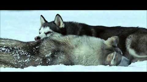 Wolf Hoffmann  -   The Moldau