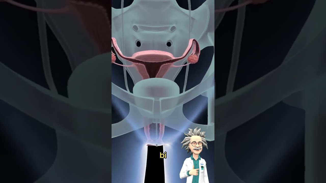 ADET DÖNGÜSÜ NEDİR ? KADINLARIN VÜCUDUNDA NELER OLUYOR ?