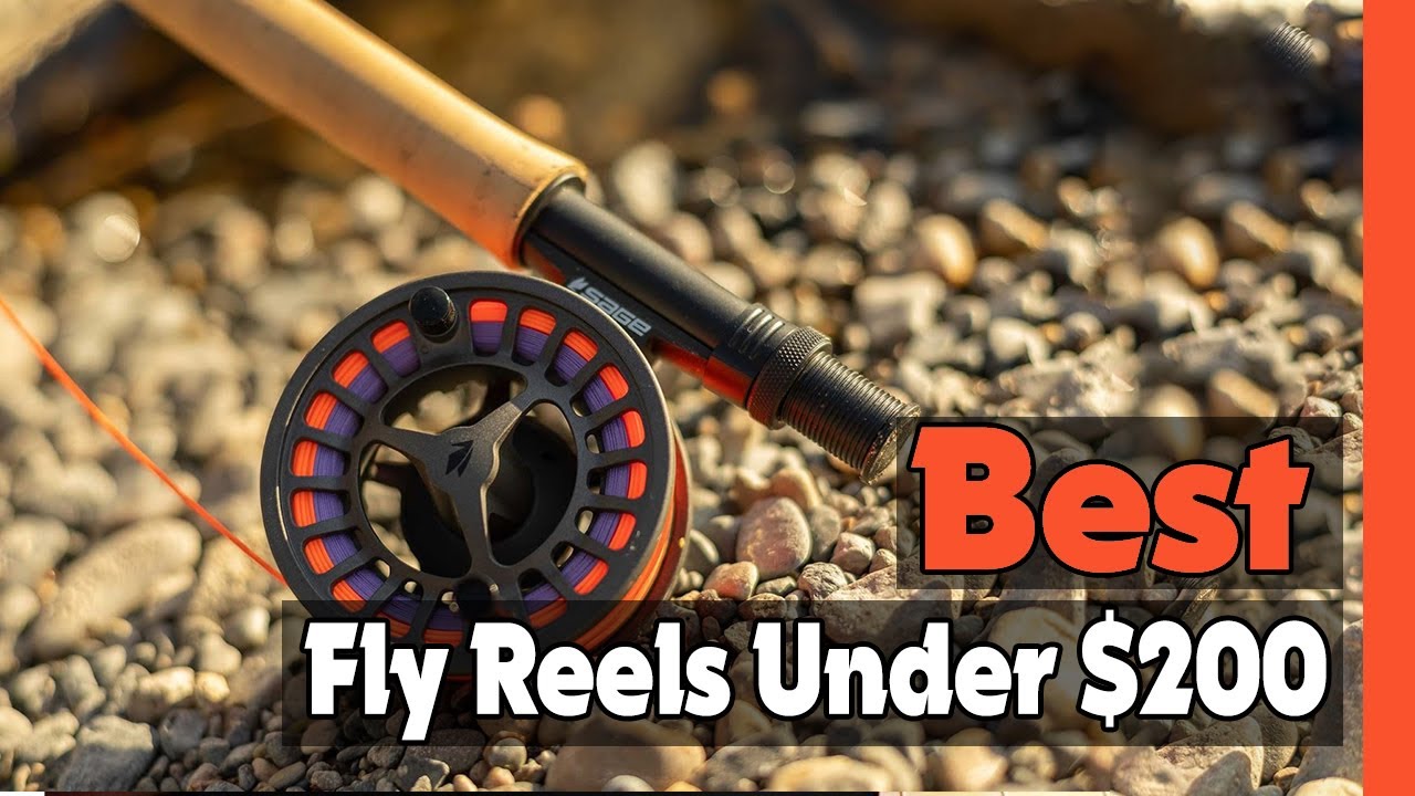 ✓Top 5: Best Fly Reels Under $200 In 2023 🎣 [  Budget Fly Reels ] 