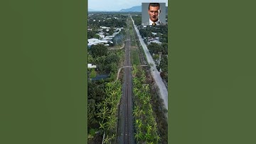 Soneium: the blockchain of Sony officially lands on Uniswap