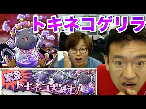 【トキラビ】「緊急！トキネコ大暴走！」で経験値ガッポリゲット！