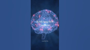 Study Smarter, Not Harder 📚  |  Stop Wasting Time ⏱️| #study #fypシ #studytips #students #exam #facts