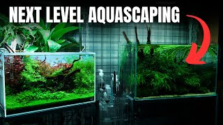 I SAT DOWN WITH ONE OF THE BEST AQUASCAPERS IN THE UK🇬🇧 by MJ Aquascaping 26,568 views 5 months ago 13 minutes, 58 seconds