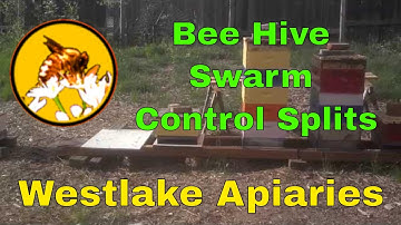 Bee Hive Swarm Control Splits