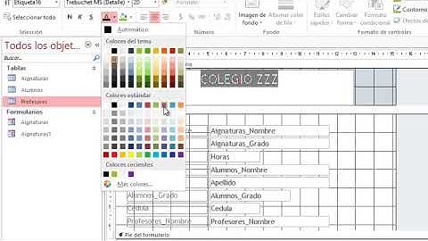 Grace Durán  Base de datos  ejecutable (Web access)