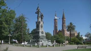 Plantas y flores de mi ciudad Esperanza Santa Fe Argentina 2023