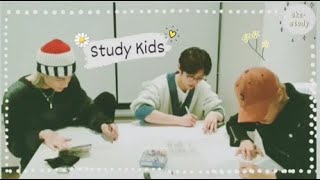 SKZ 30 minutes Study Session // study with Stray Kids
