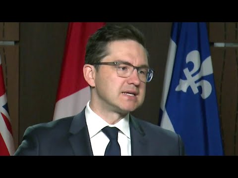 'This is a federal problem': Pierre Poilievre on airline chaos