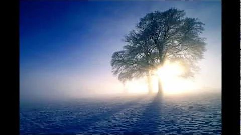Before the Music Ends - A Poem by Sandra Fowler.
