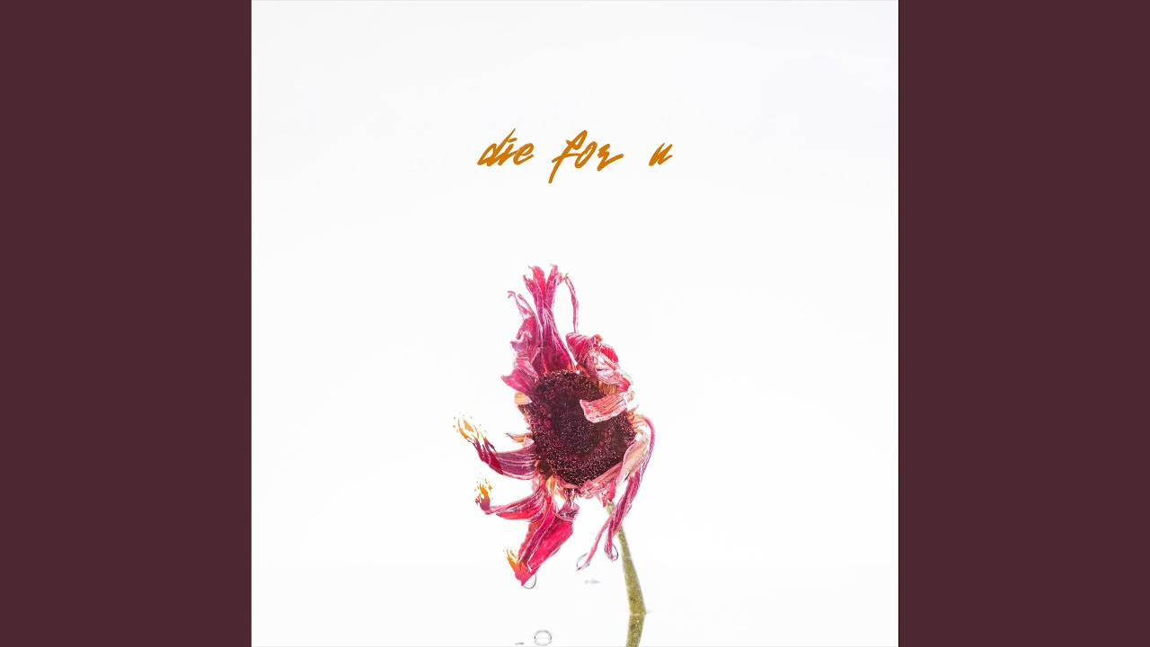 die for u