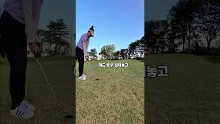 10m 어프로치 팁 #golflessons #golf