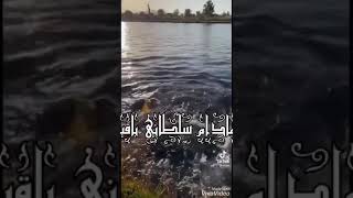 حديث قدسي عن الرزق بلسان الشيخ الشعراوي