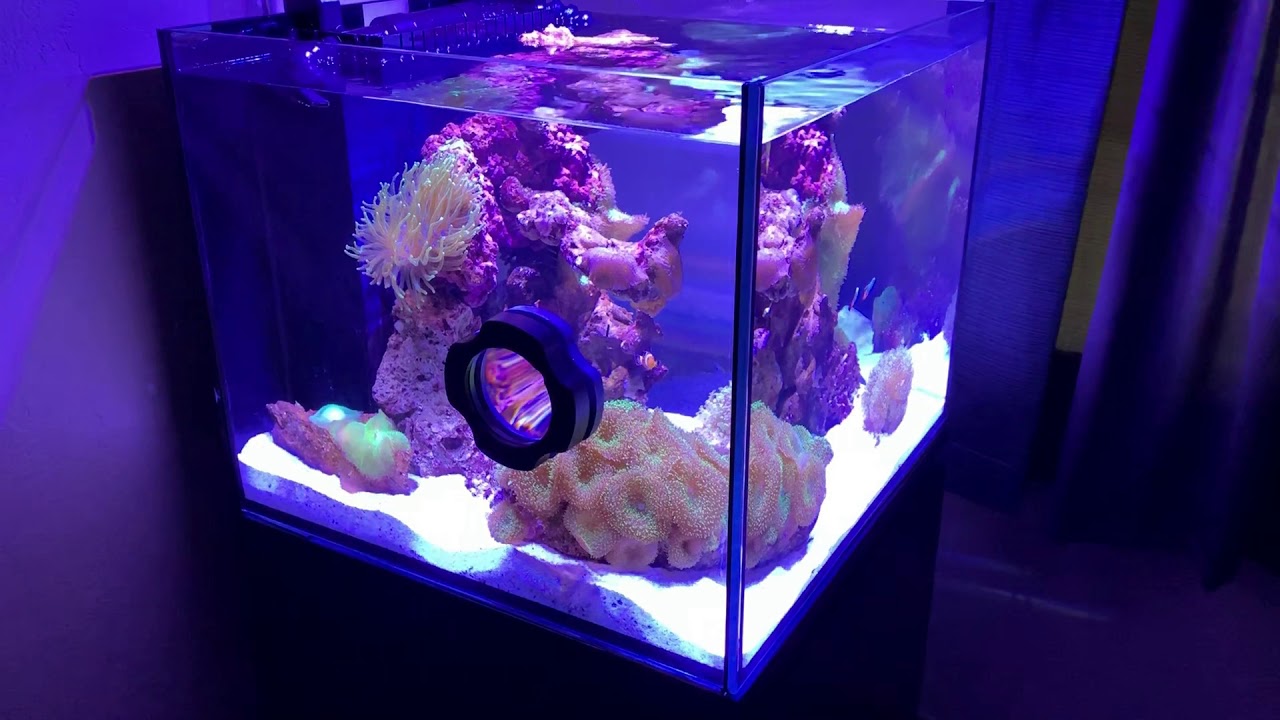 50 GALLON STARFIRE PNP SYSTEM