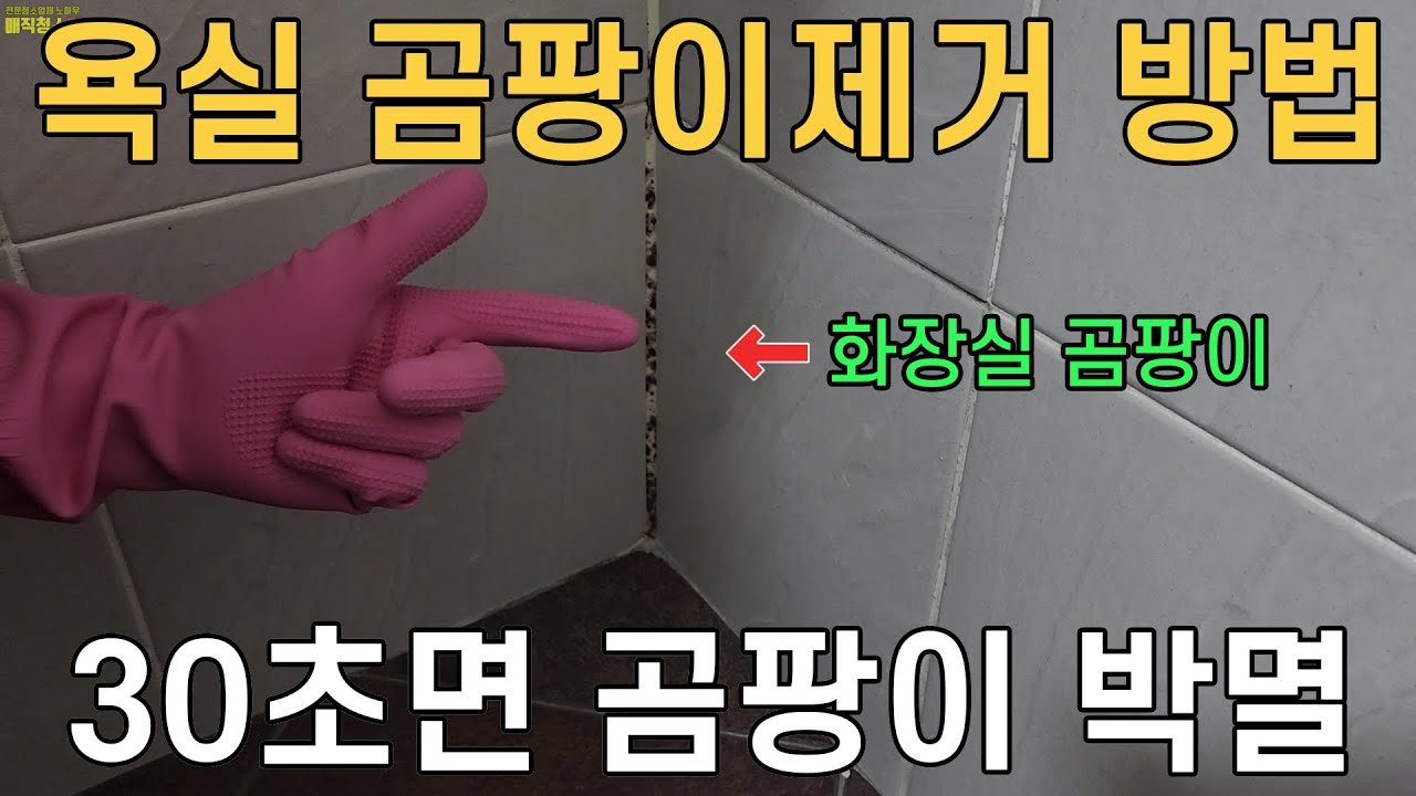 락스와 휴지로 곰팡이 제거