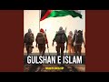 Gulshan e islam
