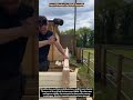 Smart Wooden Log Wall Assembly