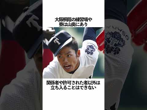 大阪桐蔭に関する雑学 #野球 #大阪桐蔭#野球解説