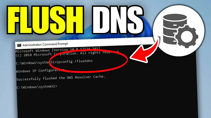 How To Flush DNS Cache in Windows 11 (Laptop & PC)