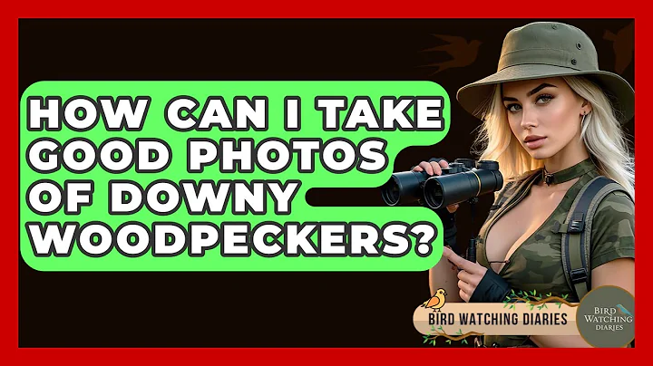 How Can I Take Good Photos Of Downy Woodpeckers? - Bird Watching Diaries