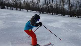 20190317-Ski-Joshua Ski Rinus Mogul Side View