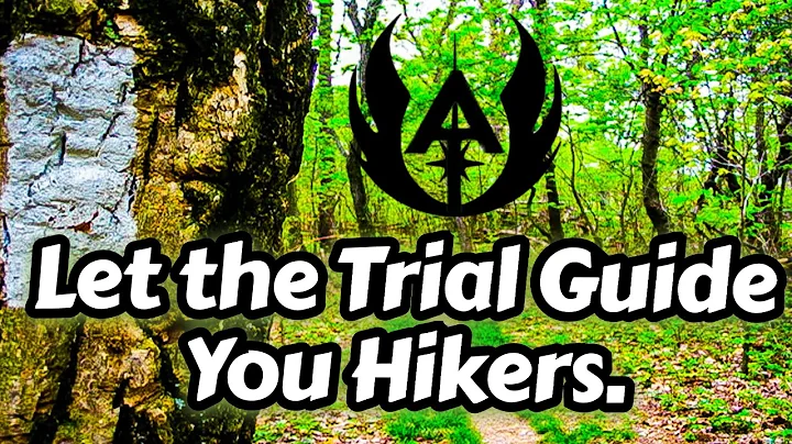 Understanding the ATC’s Justice, Equity, Diversity, and Inclusion (JEDI) Program