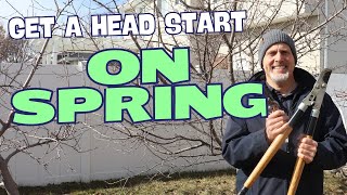 February Garden Jobs   Get a Head Start on Spring!