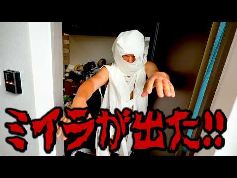 ミイラが出ました
